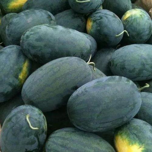 155fun.黑料吃瓜,一场网络吃瓜盛宴